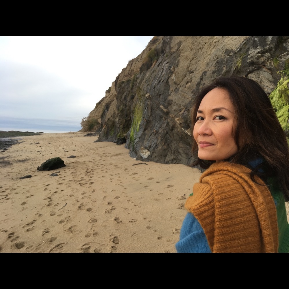 Meet your Posher, Dorothy